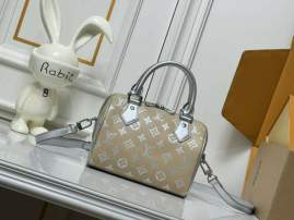 Picture of Louis Vuitton Handbags _SKUfw224596734fw